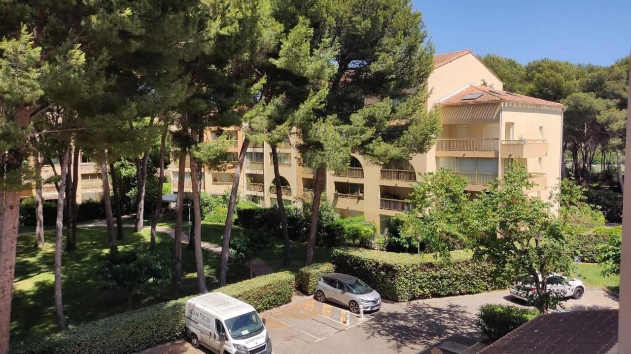 Bel Appartement Avec Piscine Proche Des Plages Сис-Фур-Ле-Пляж Экстерьер фото