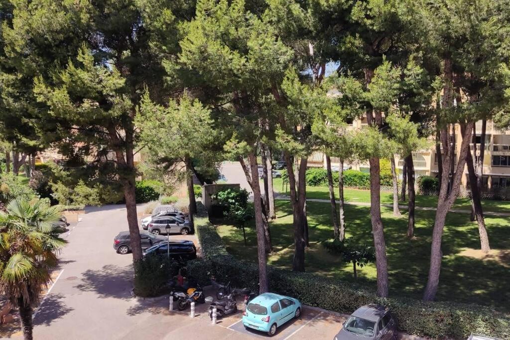 Bel Appartement Avec Piscine Proche Des Plages Сис-Фур-Ле-Пляж Экстерьер фото