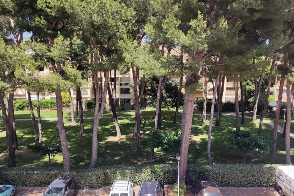 Bel Appartement Avec Piscine Proche Des Plages Сис-Фур-Ле-Пляж Экстерьер фото